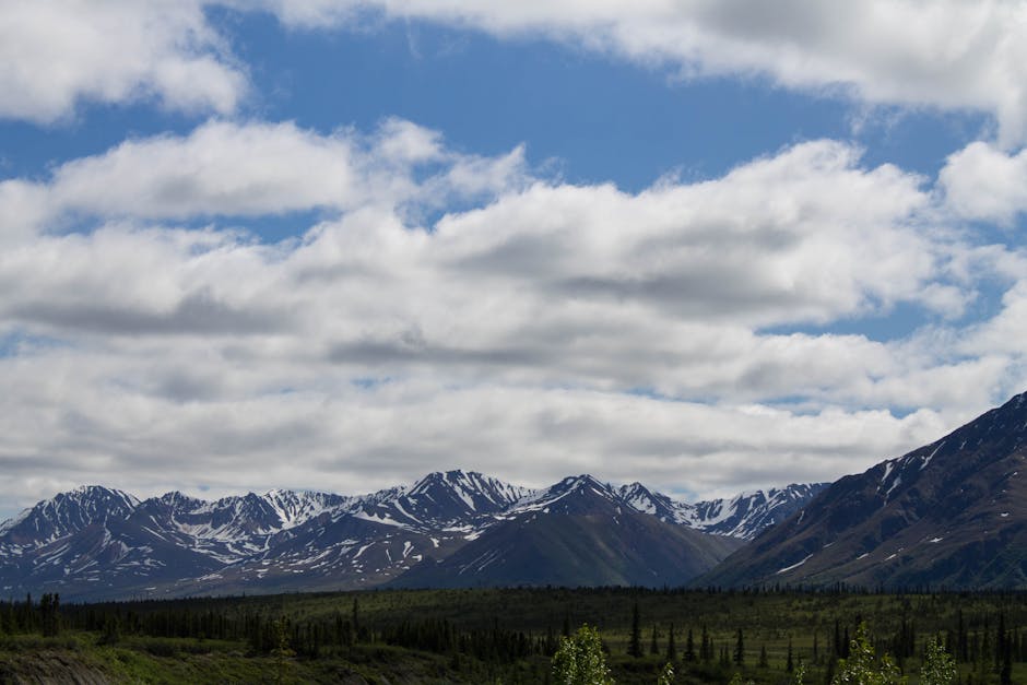 Image for 1. Explore Denali National Park